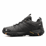 Cinza